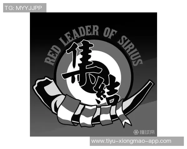 尼斯俱乐部发声谴责球迷暴力行为呼吁维护体育精神与安全 尼斯俱乐部发声谴责球迷暴力行为呼吁维护体育精神与安全