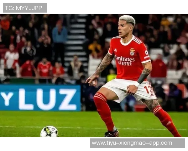 斯特拉斯堡对麦卡蒂表现出浓厚兴趣冬窗有望引进他 斯特拉斯堡对麦卡蒂表现出浓厚兴趣冬窗有望引进他